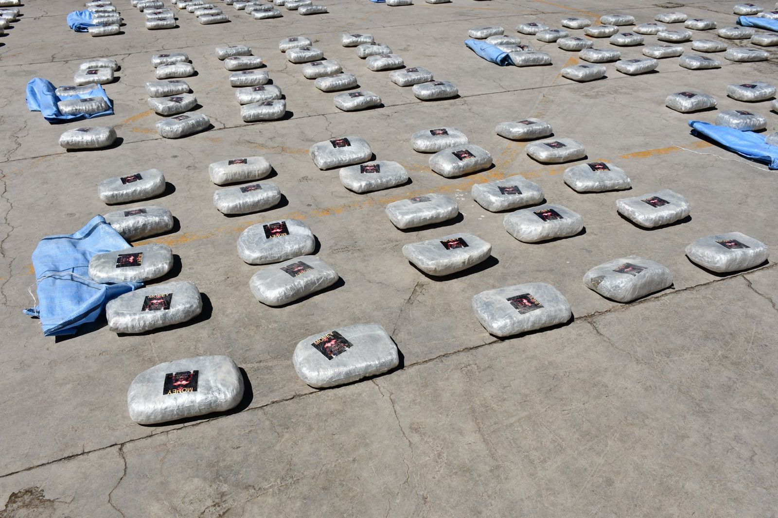 FELCN incauta más de 1,5 toneladas de marihuana en Uyuni y aprehende a una persona